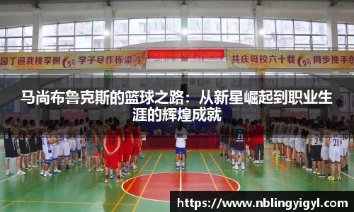 星空体育官网登录入口