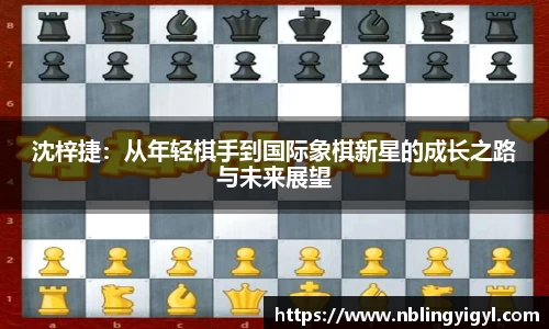 星空体育官网入口