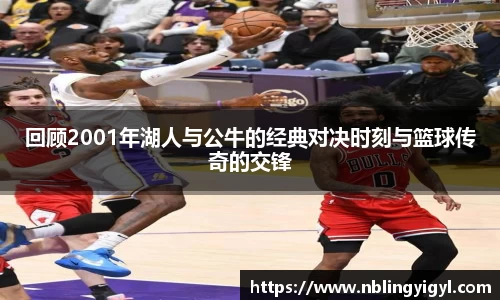 星空体育官网入口