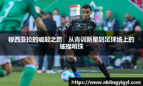 星空官网