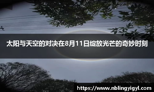 星空体育