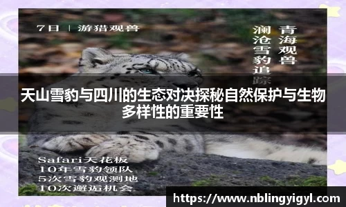 XK体育